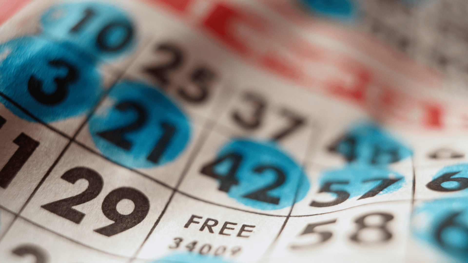 Todo sobre las tarjetas de bingo en línea y las llamadas image